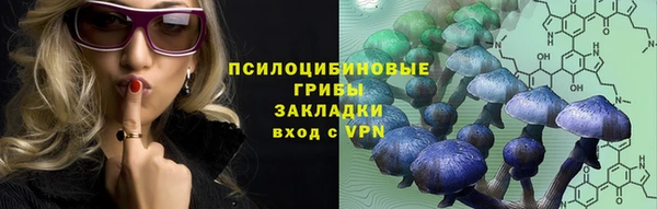 амф Алексеевка